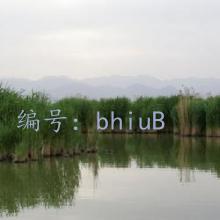 û