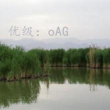 ½