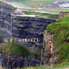 ѡ