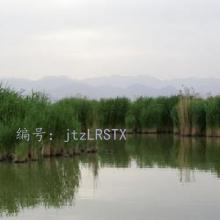 û